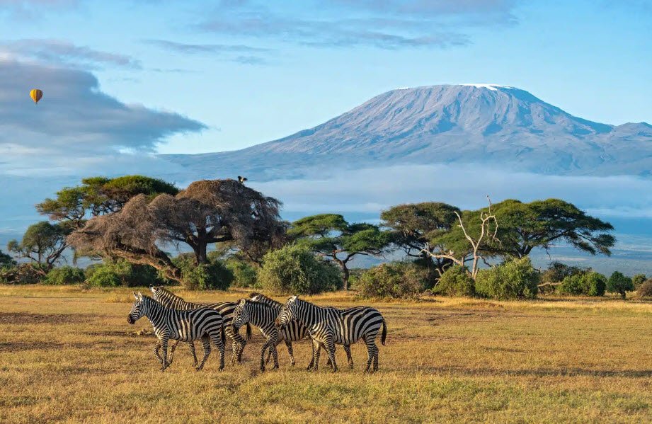 Masai Mara, Kenya